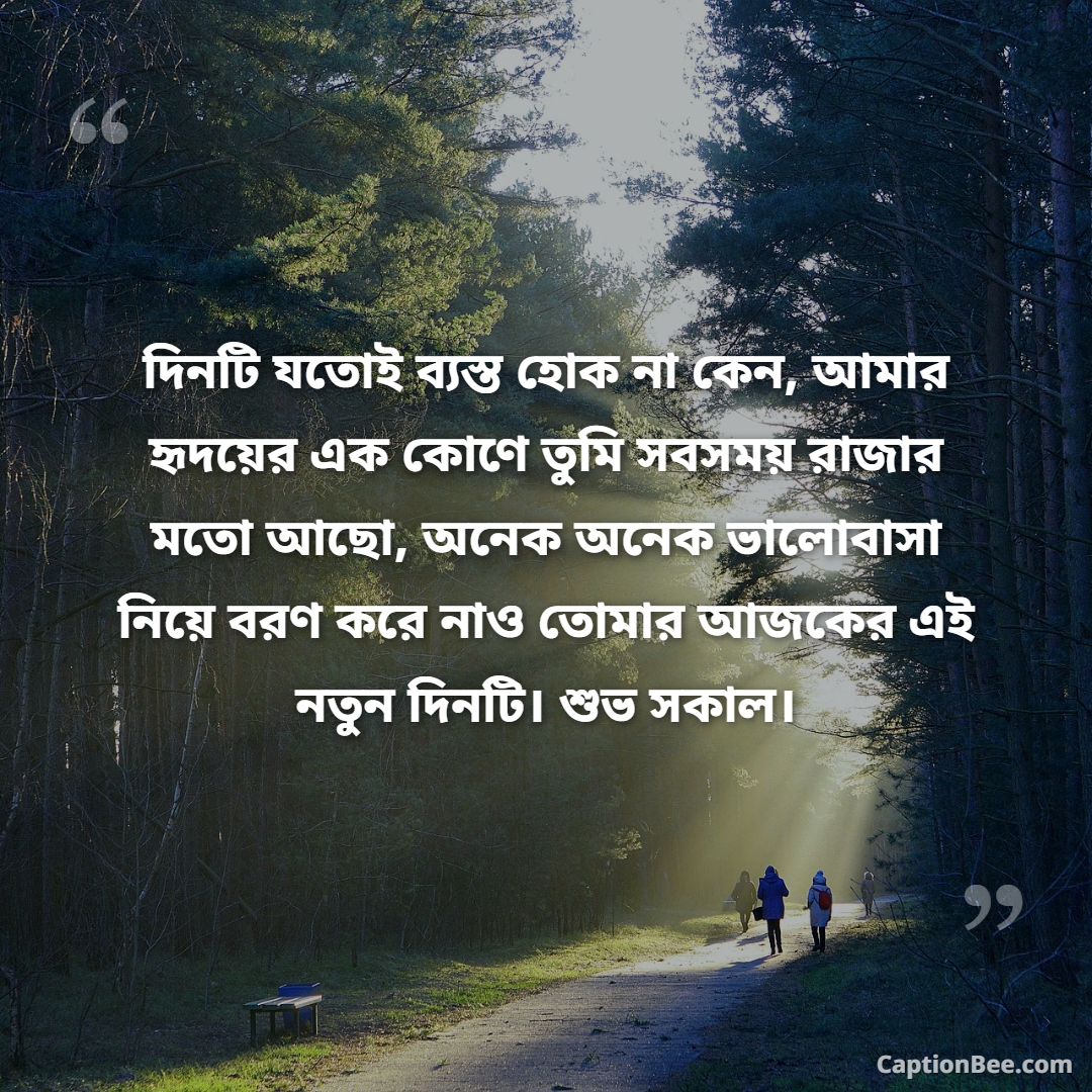 দিনটি যতোই ব্যস্ত হোক না কেন, আমার হৃদয়ের এক কোণে তুমি সবসময় রাজার মতো আছো, অনেক অনেক ভালোবাসা নিয়ে বরণ করে নাও তোমার আজকের এই নতুন দিনটি। শুভ সকাল।