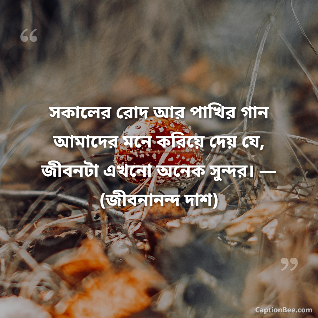 সকালের রোদ আর পাখির গান আমাদের মনে করিয়ে দেয় যে, জীবনটা এখনো অনেক সুন্দর। — (জীবনানন্দ দাশ)