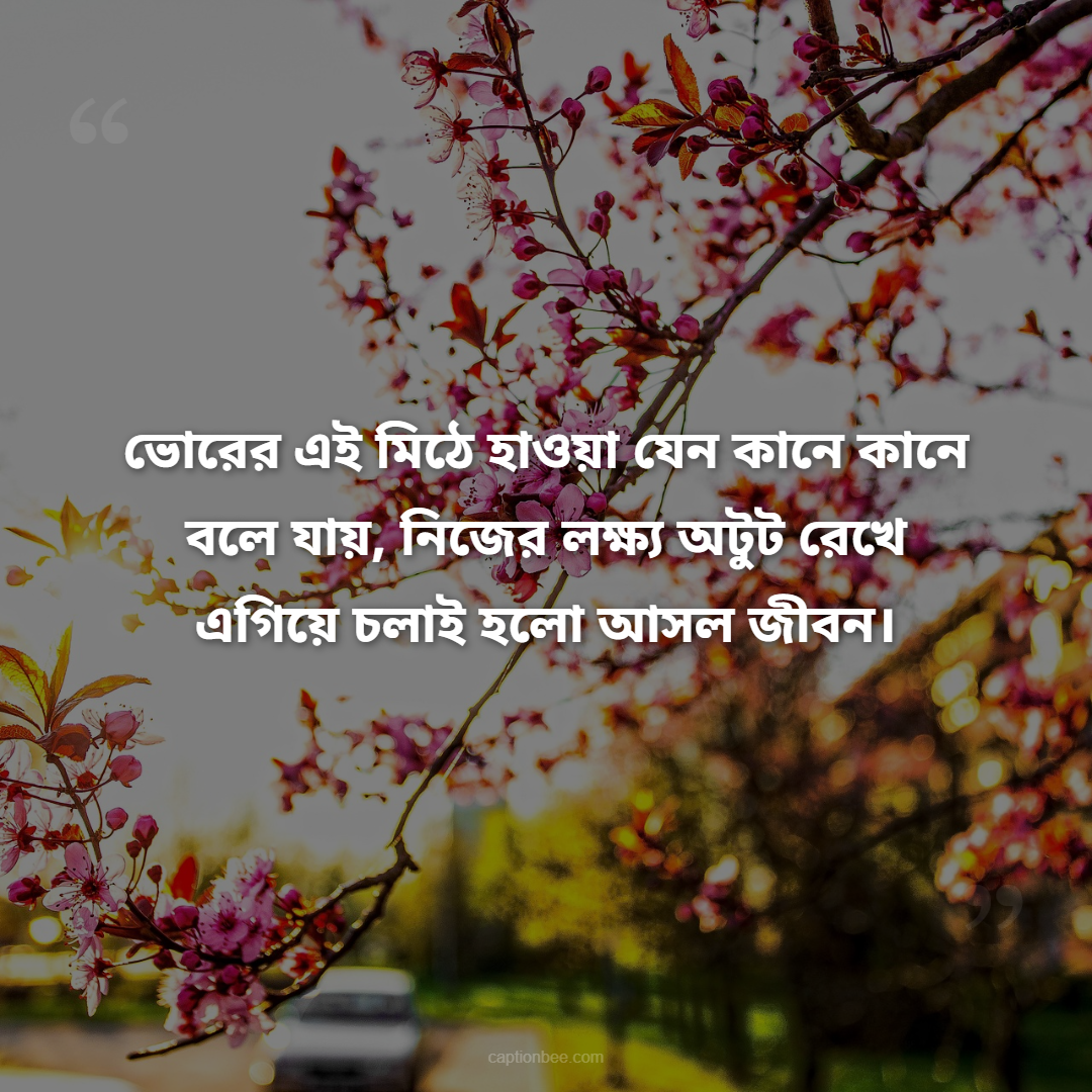 ভোরের এই মিঠে হাওয়া যেন কানে কানে বলে যায়, নিজের লক্ষ্য অটুট রেখে এগিয়ে চলাই হলো আসল জীবন।
